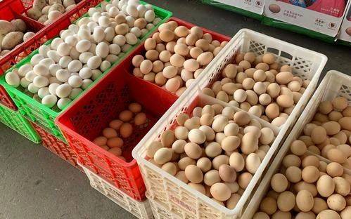 今日臨沂雞蛋價(jià)格行情,今日臨沂雞蛋價(jià)格行情