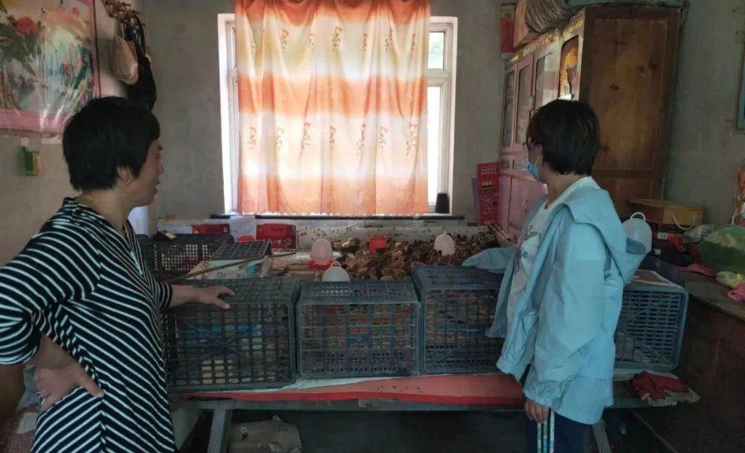 劉鑫最新動態(tài)更新??