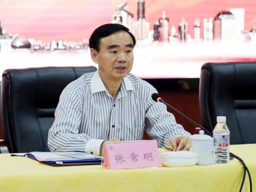 揭秘張常明最新消息，小巷中的隱藏瑰寶