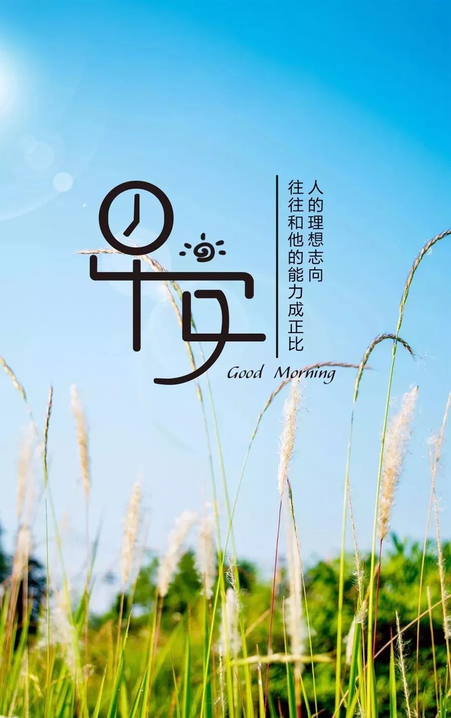 最新早安心語(yǔ)正能量，開(kāi)啟美好一天的積極力量